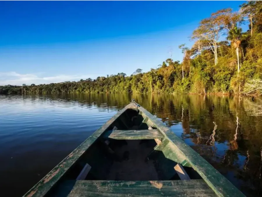 Imagem amazonia